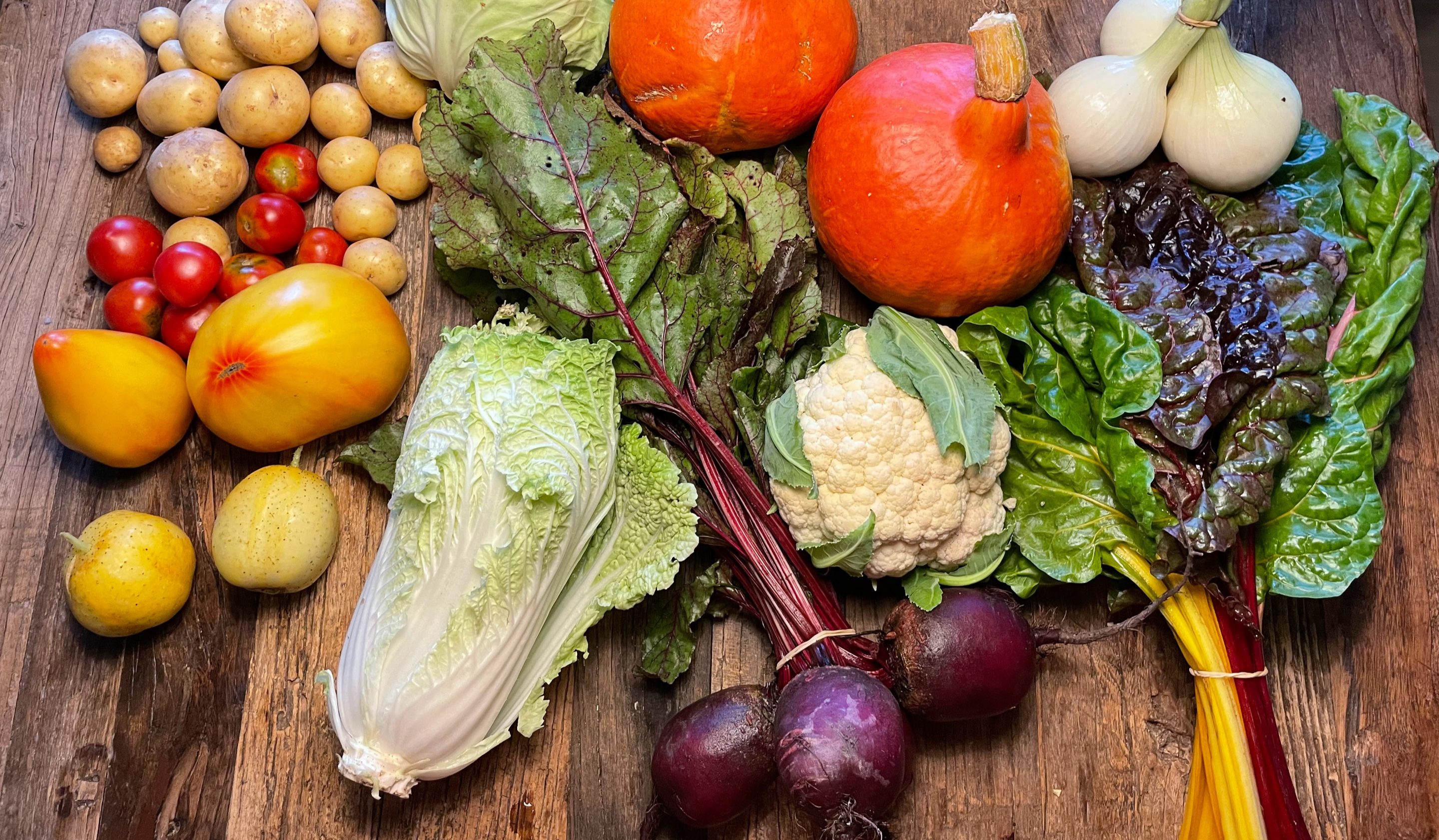 Byretreat: Yoga, vegetarmat og hverdagsfilosofi - 06.-08.12 Lærere: Viveka og Yasodha