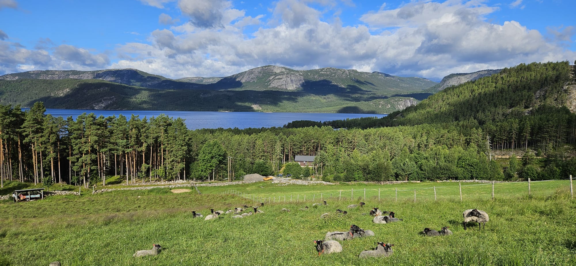 Yogaretreat på YogaYoni i Nissedal 2.-9. august 2025 - Bilde 17