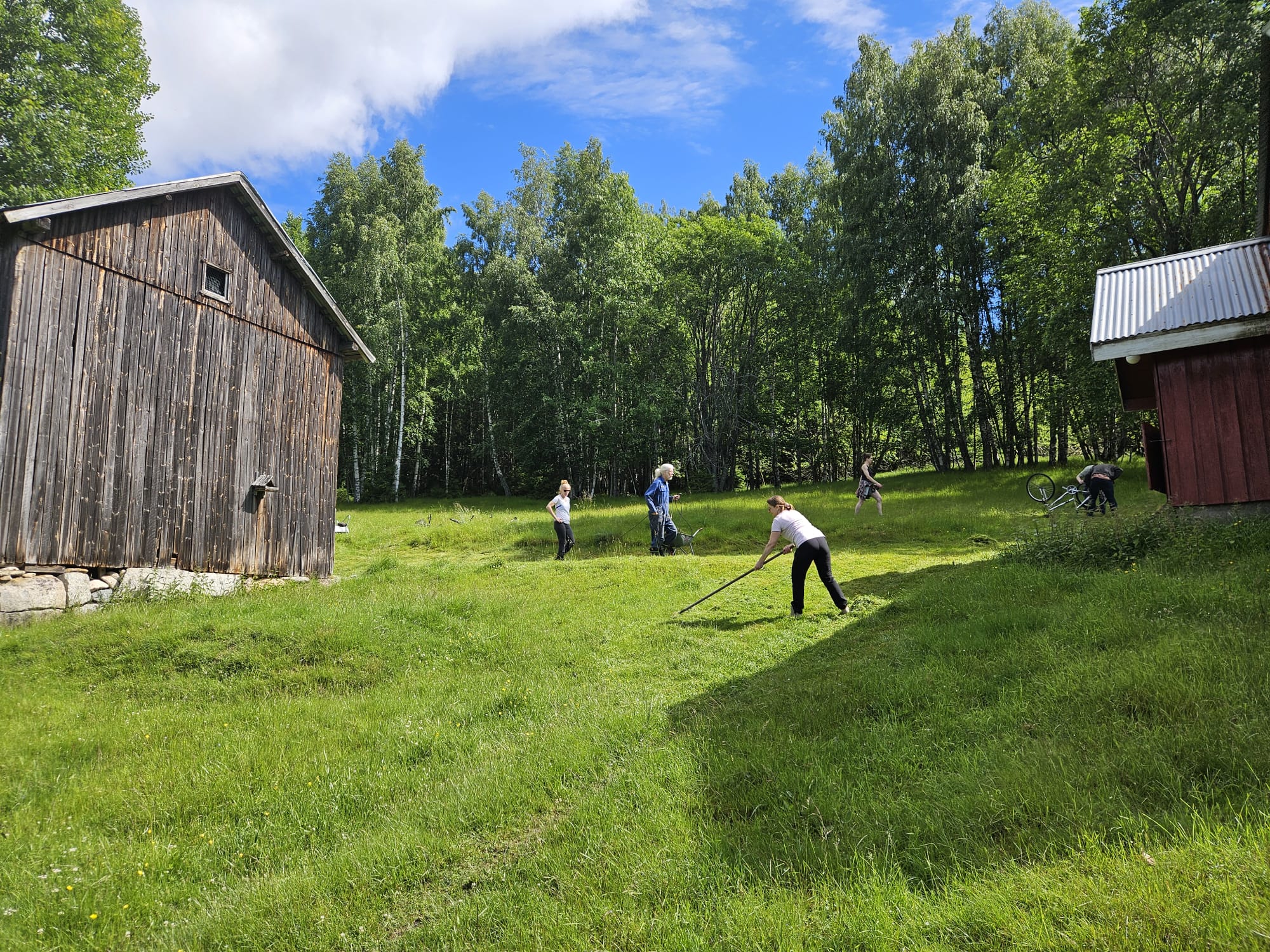Yogaretreat på YogaYoni i Nissedal 2.-9. august 2025 - Bilde 12