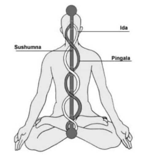 Intro til chakra- og kriyayoga-del 6/YM III (5x), tirsdag kl 17.30-19.30 – fra 27.10.-24.11. Lærer Amrit - Bilde 5